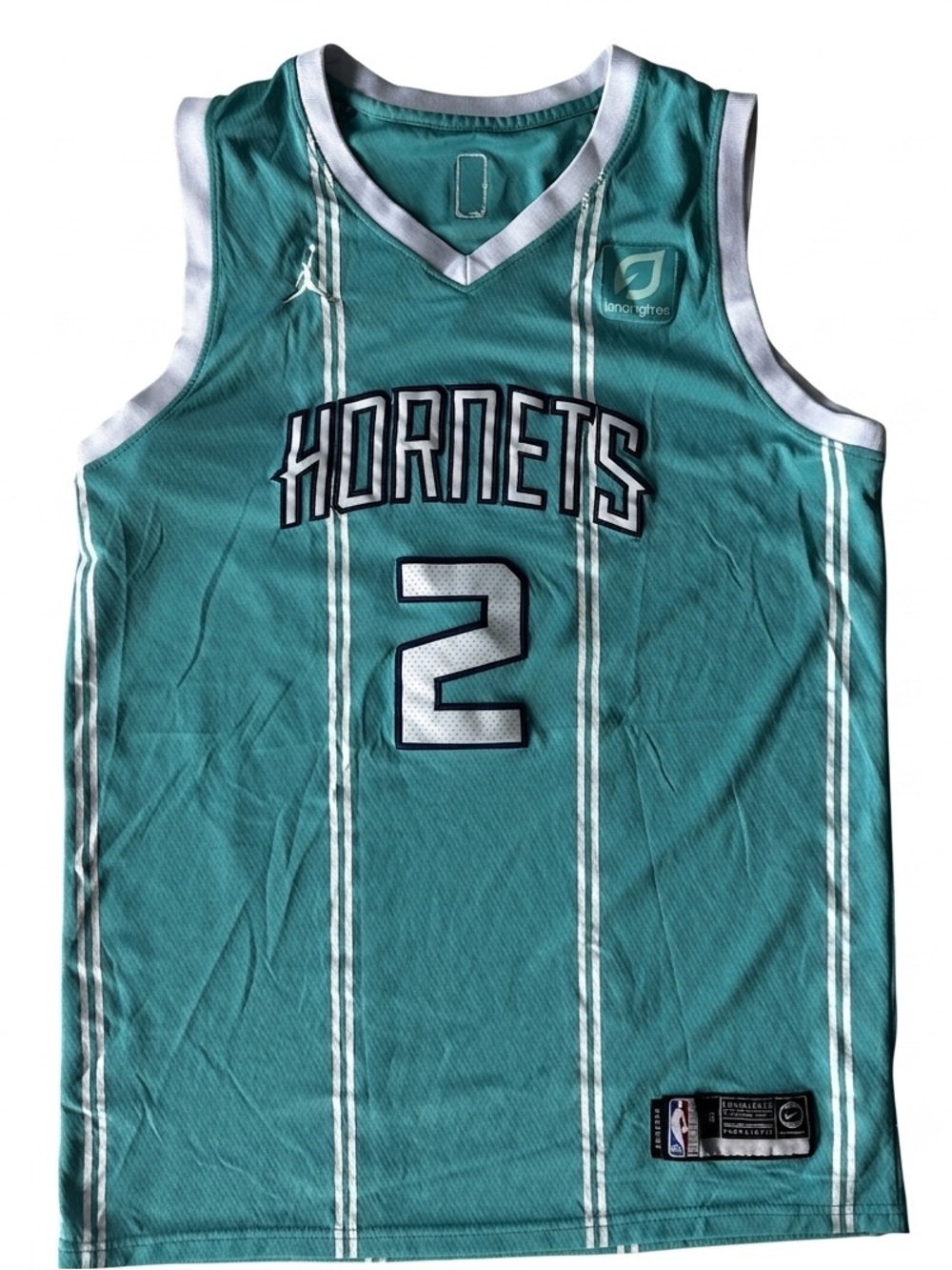 Lamelo Ball Charlotte Hornets #2 Teal Basketball Jersey - Jordan/Nike